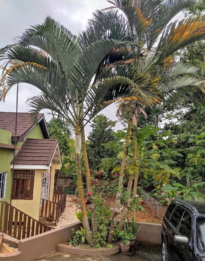 Gables Vacation Rentals With Private Gated Parking Onsite Knockpatrick Екстериор снимка